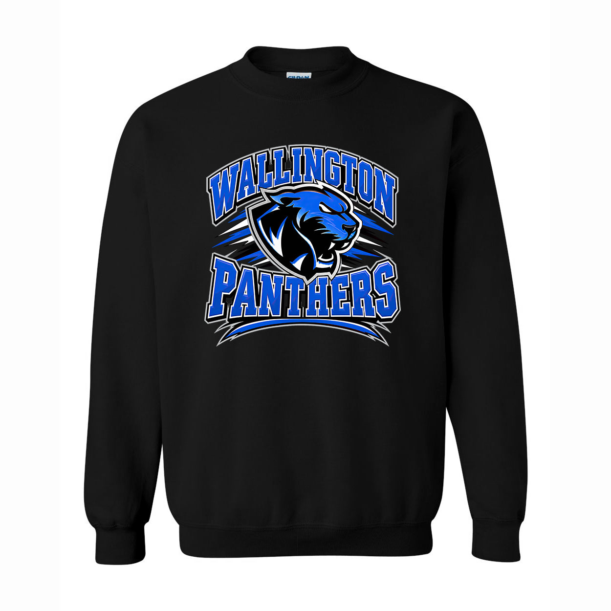 Classic Panthers Sweatshirt