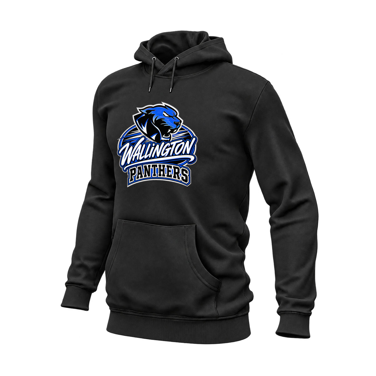 Panthers Script Hoodie