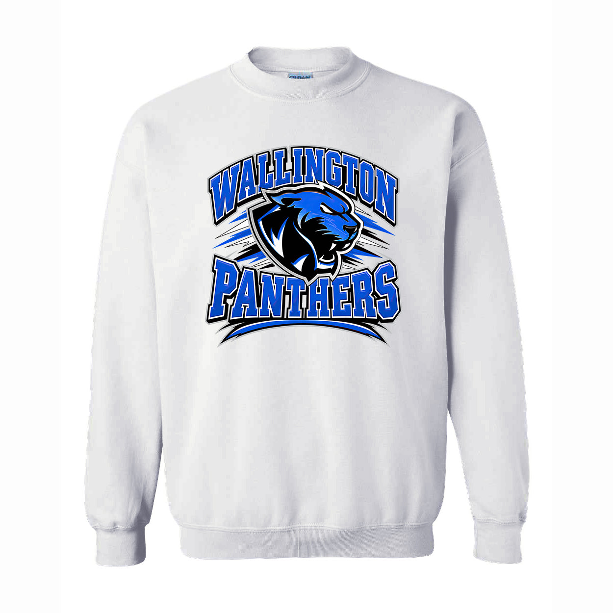 Classic Panthers Sweatshirt