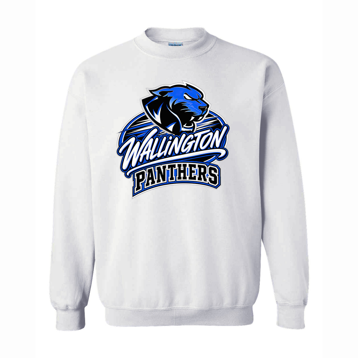 Panthers Script Sweatshirt