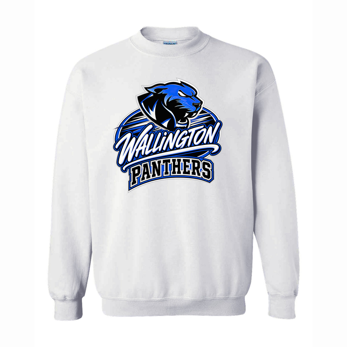 Panthers Script Sweatshirt