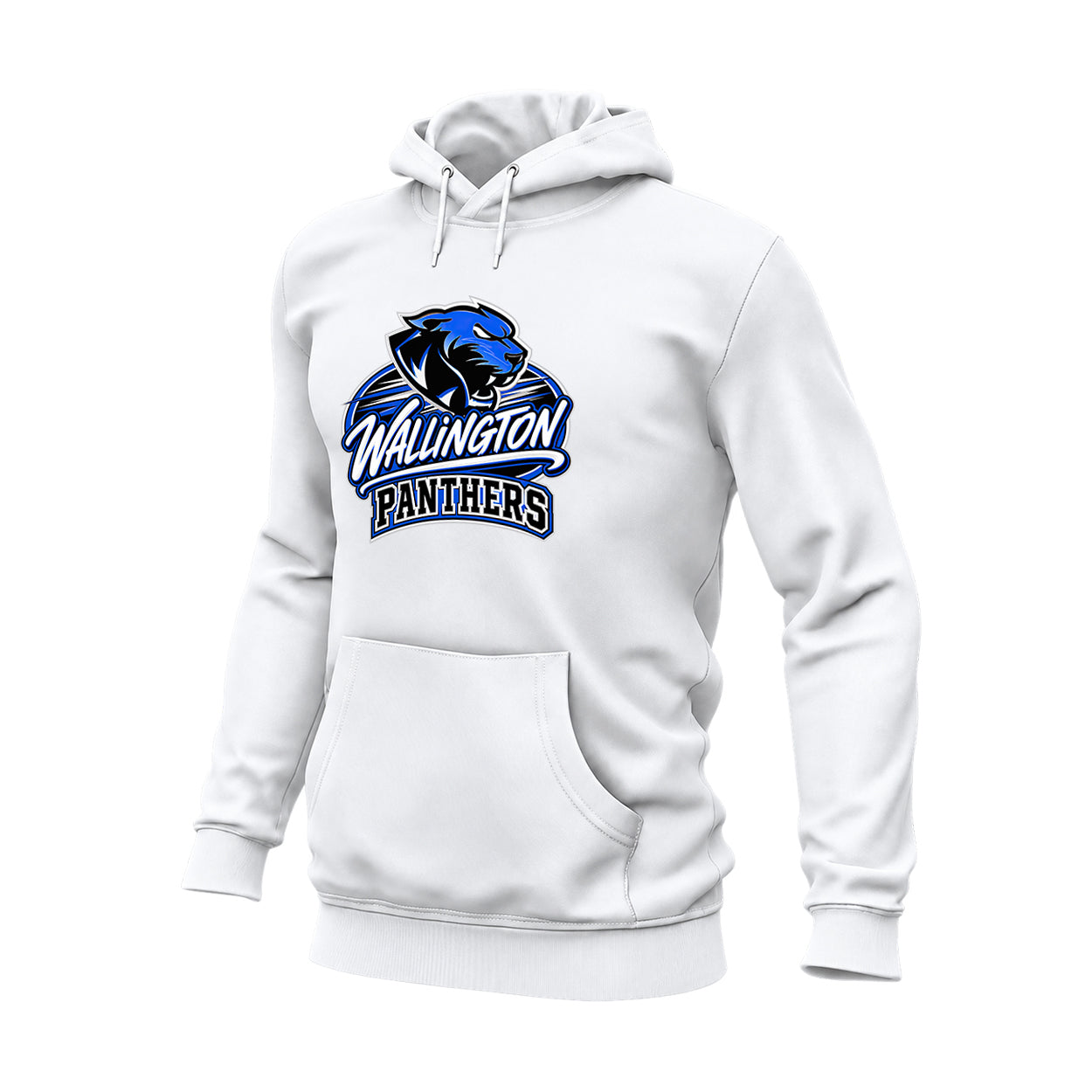 Panthers Script Hoodie